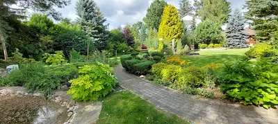 Zielone wnętrza projektowanie ogrodów